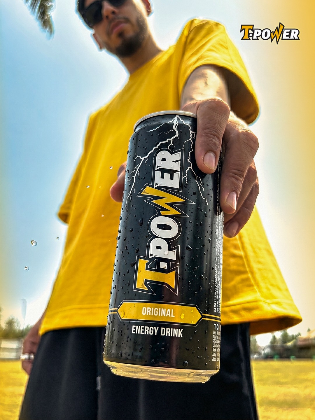 كرتون (24 حبة) T.Power